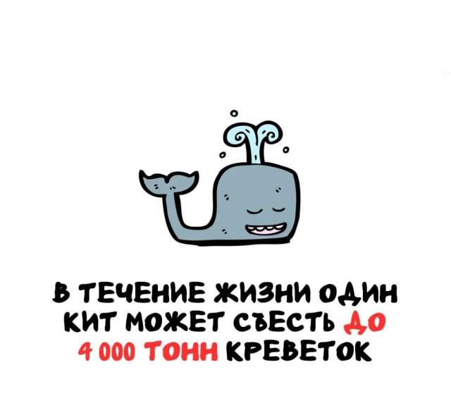 Интересные факты на все случаи жизни Интересные факты на все случаи жизни