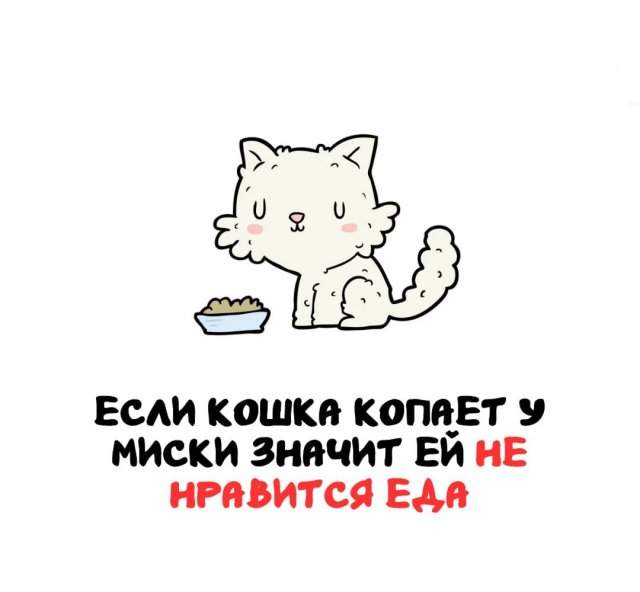 Интересные факты на все случаи жизни Интересные факты на все случаи жизни