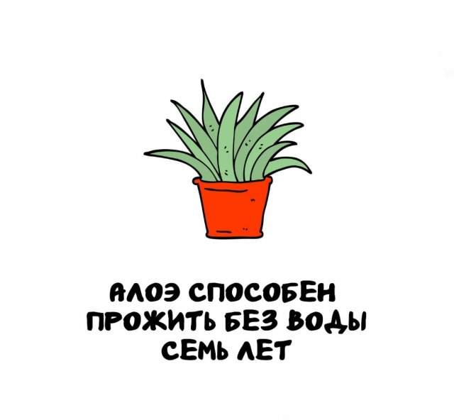 Интересные факты на все случаи жизни Интересные факты на все случаи жизни