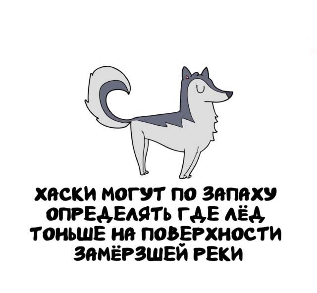 Интересные факты на все случаи жизни Интересные факты на все случаи жизни