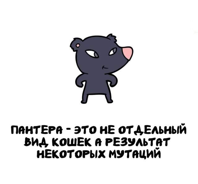 Интересные факты на все случаи жизни Интересные факты на все случаи жизни