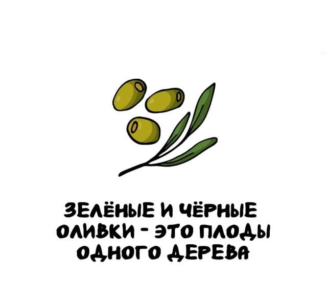 Интересные факты на все случаи жизни Интересные факты на все случаи жизни