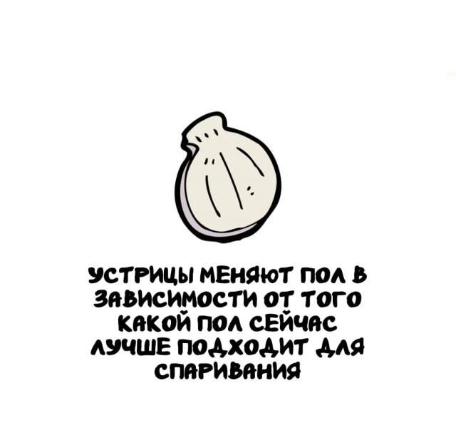 Интересные факты на все случаи жизни Интересные факты на все случаи жизни