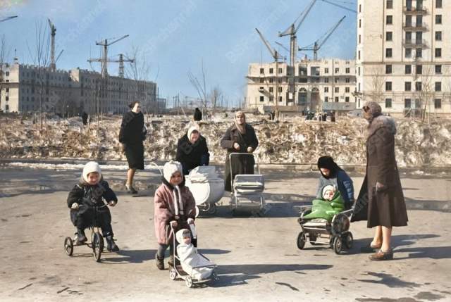 Во дворе одного из жилых домов на Юго-Западе Москвы, 1956 год.