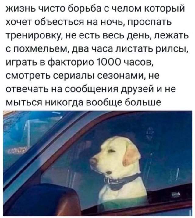 Лучшие шутки и мемы из Сети - 19.06.2025 Лучшие шутки и мемы из Сети - 19.06.2025
