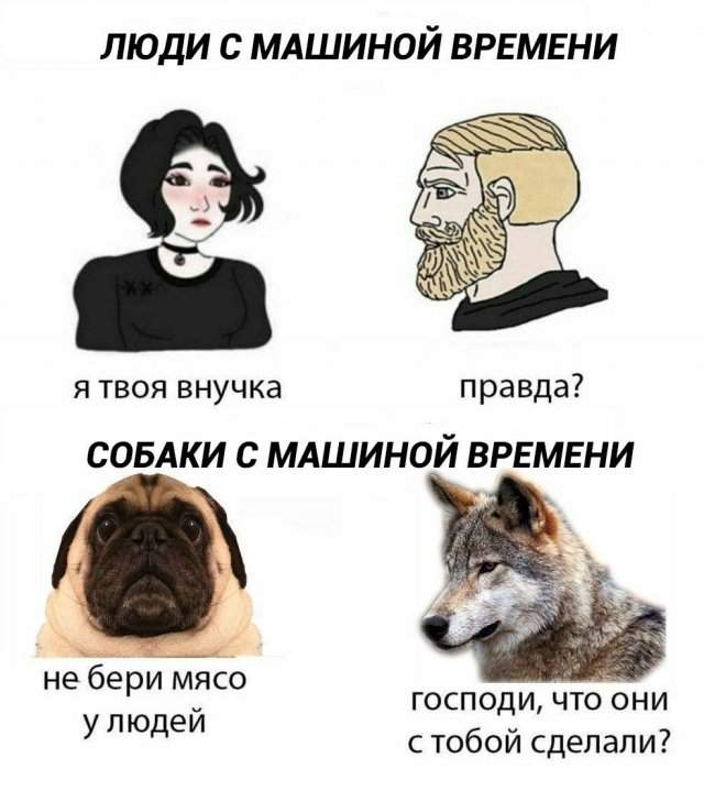 Лучшие шутки и мемы из Сети - 19.06.2025 Лучшие шутки и мемы из Сети - 19.06.2025
