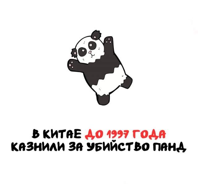 Интересные факты на все случаи жизни Интересные факты на все случаи жизни