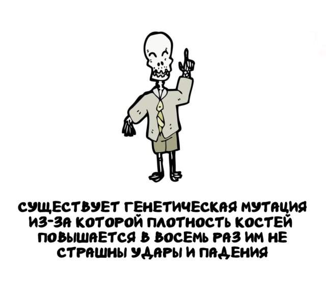 Интересные факты на все случаи жизни Интересные факты на все случаи жизни