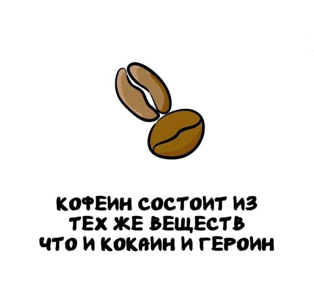 Интересные факты на все случаи жизни Интересные факты на все случаи жизни