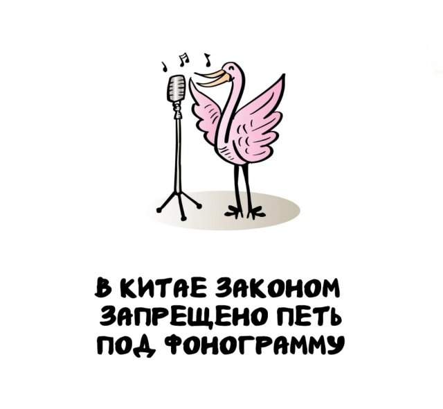 Интересные факты на все случаи жизни Интересные факты на все случаи жизни