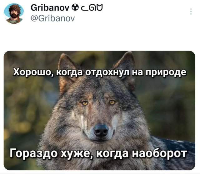 Подборка забавных твитов обо всем Подборка забавных твитов обо всем