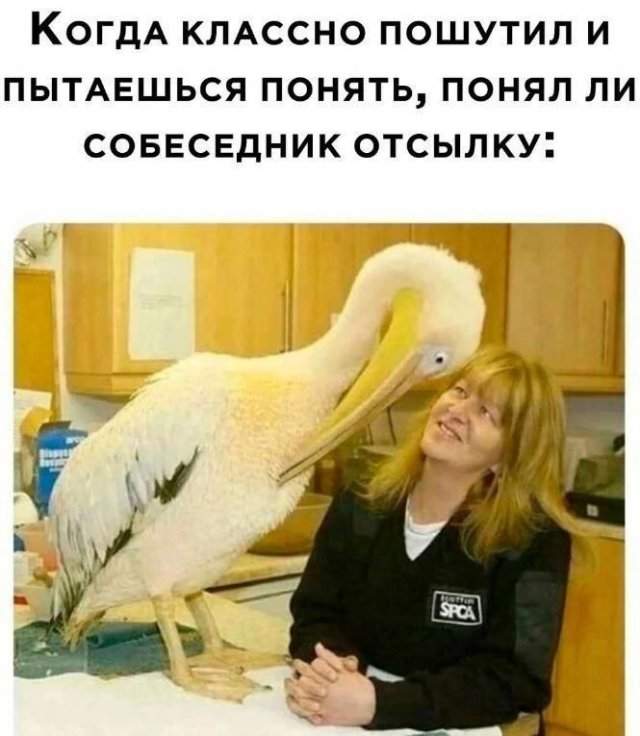 Лучшие шутки и мемы из Сети - 20.06.2025 Лучшие шутки и мемы из Сети - 20.06.2025