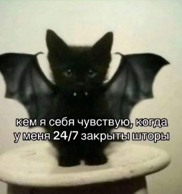 Смешные мемы - 23.06.2025 Смешные мемы - 23.06.2025