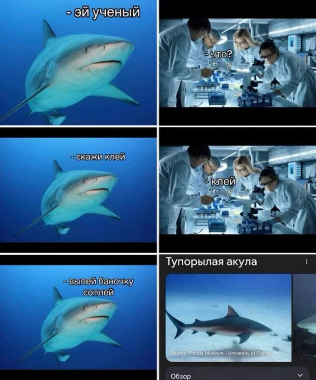 Смешные мемы - 23.06.2025 Смешные мемы - 23.06.2025