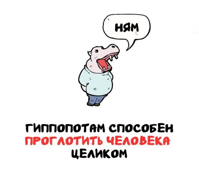Интересные факты на все случаи жизни Интересные факты на все случаи жизни