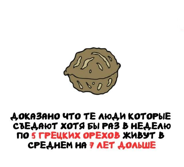 Интересные факты на все случаи жизни Интересные факты на все случаи жизни