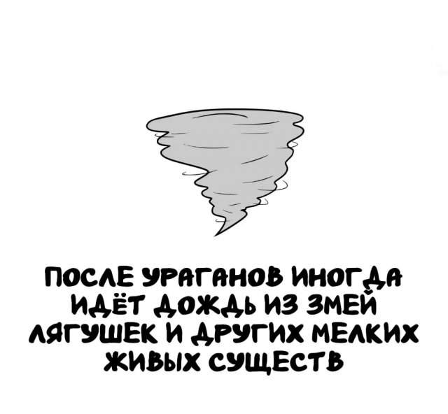 Интересные факты на все случаи жизни Интересные факты на все случаи жизни