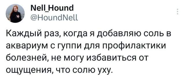 Подборка забавных твитов обо всем Подборка забавных твитов обо всем