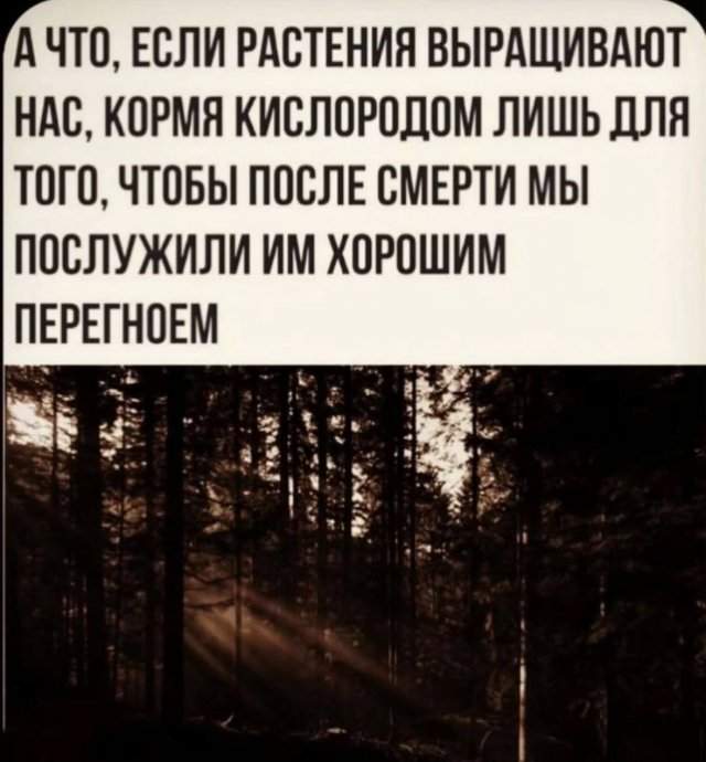 Смешные мемы - 24.06.2025