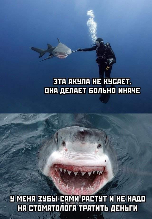 Смешные мемы - 24.06.2025 Смешные мемы - 24.06.2025