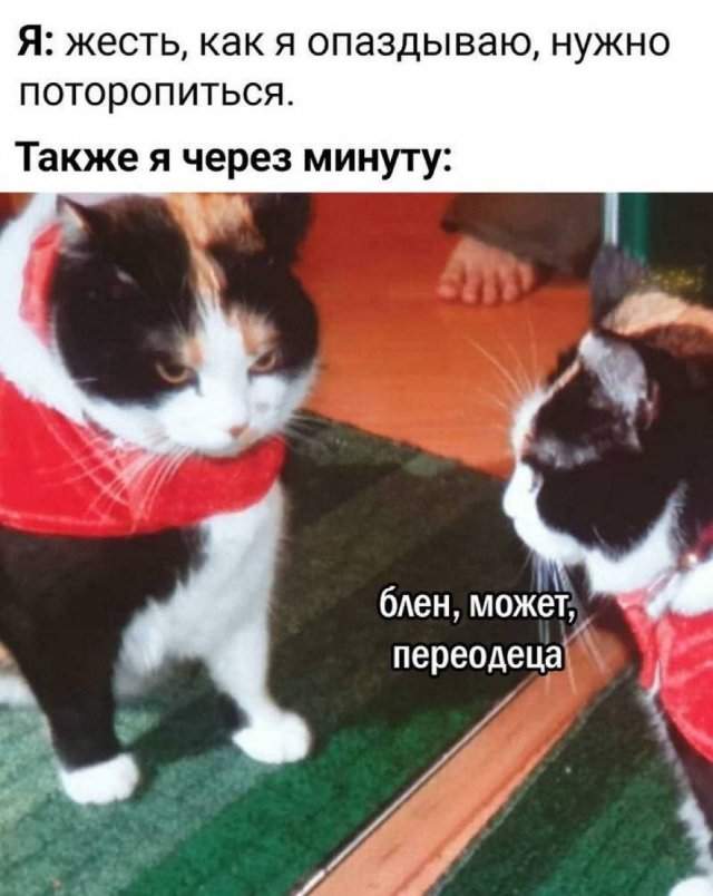 Смешные мемы - 24.06.2025 Смешные мемы - 24.06.2025