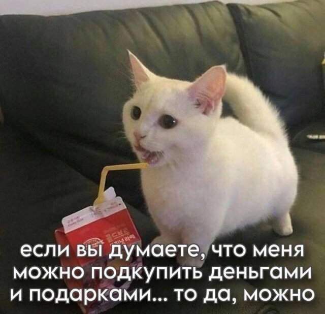 Смешные мемы - 24.06.2025 Смешные мемы - 24.06.2025