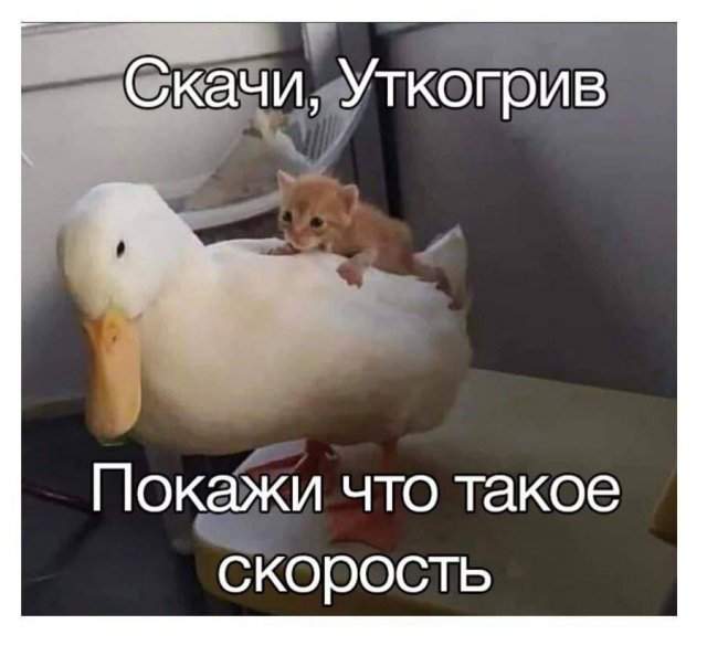Смешные мемы - 24.06.2025 Смешные мемы - 24.06.2025