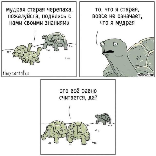 Смешные картинки - 24.06.2025 Смешные картинки - 24.06.2025