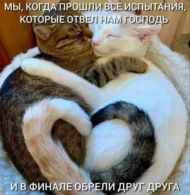Смешные картинки - 24.06.2025 Смешные картинки - 24.06.2025
