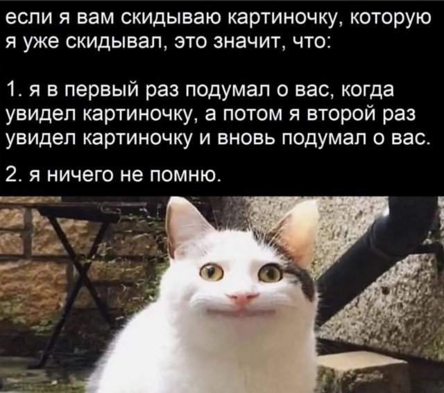 Смешные картинки - 24.06.2025 Смешные картинки - 24.06.2025
