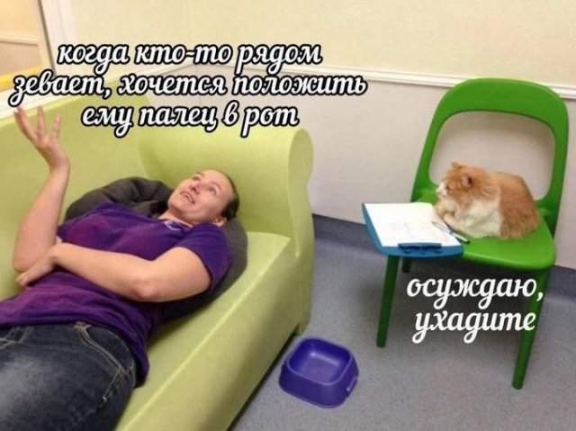 Лучшие шутки и мемы из Сети - 24.06.2025 Лучшие шутки и мемы из Сети - 24.06.2025