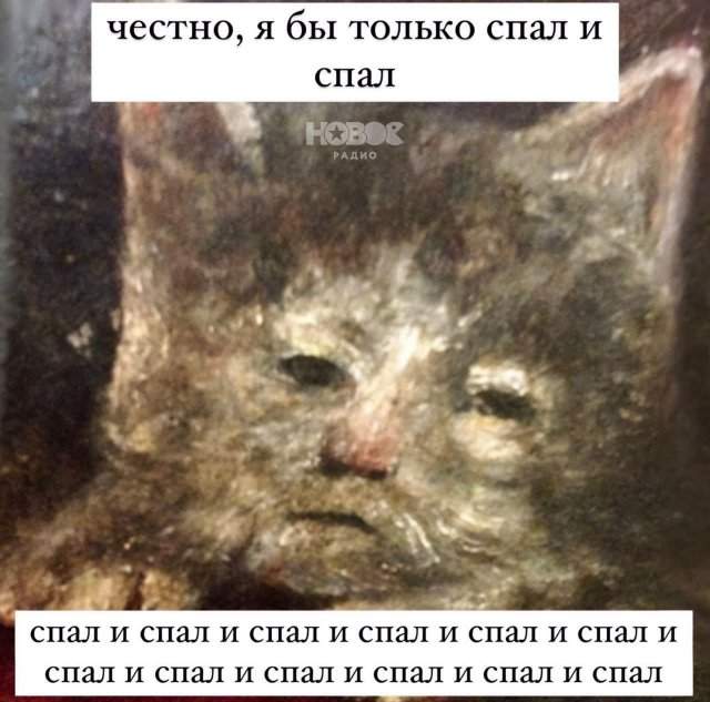 Лучшие шутки и мемы из Сети - 24.06.2025 Лучшие шутки и мемы из Сети - 24.06.2025