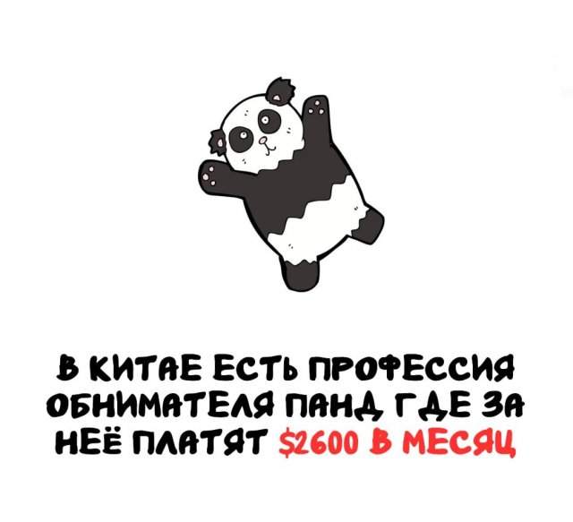 Интересные факты на все случаи жизни Интересные факты на все случаи жизни