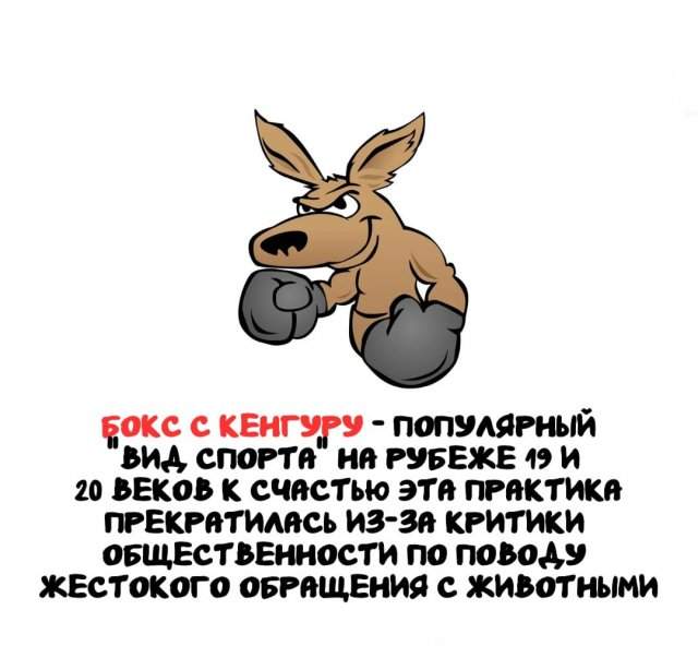 Интересные факты на все случаи жизни Интересные факты на все случаи жизни