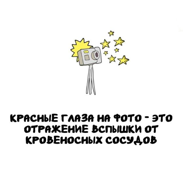 Интересные факты на все случаи жизни Интересные факты на все случаи жизни