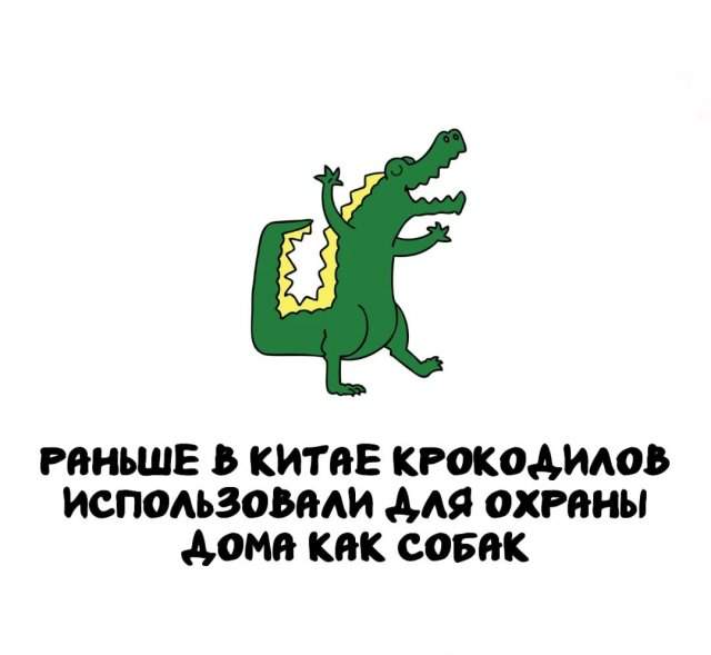 Интересные факты на все случаи жизни Интересные факты на все случаи жизни