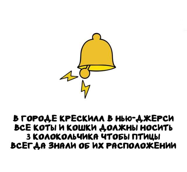 Интересные факты на все случаи жизни Интересные факты на все случаи жизни