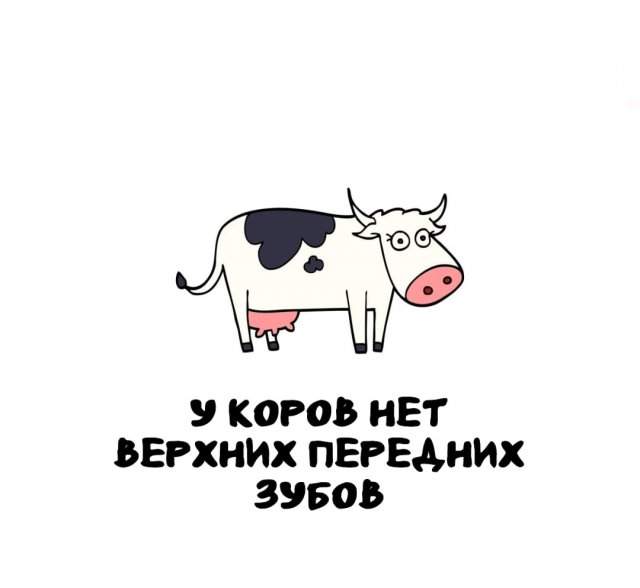 Интересные факты на все случаи жизни Интересные факты на все случаи жизни