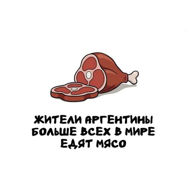 Интересные факты на все случаи жизни Интересные факты на все случаи жизни