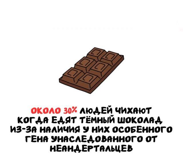 Интересные факты на все случаи жизни Интересные факты на все случаи жизни