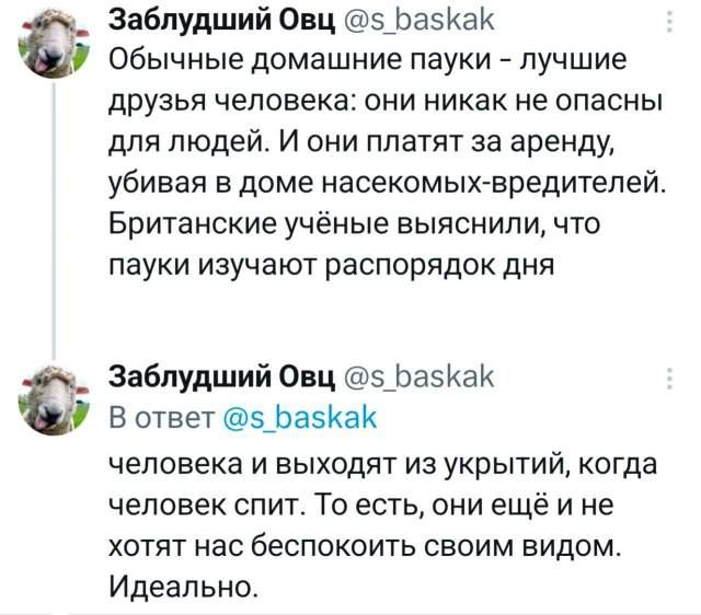Подборка забавных твитов обо всем Подборка забавных твитов обо всем