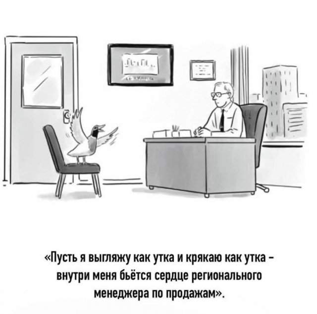 Лучшие шутки и мемы из Сети - 25.06.2025 Лучшие шутки и мемы из Сети - 25.06.2025