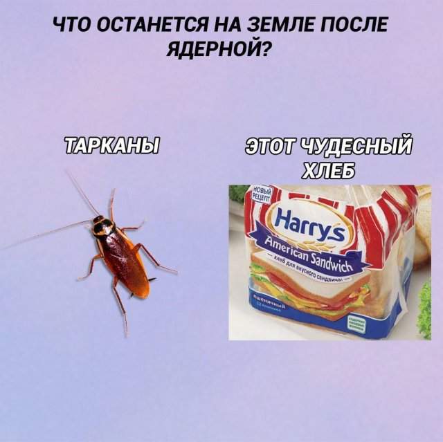 Лучшие шутки и мемы из Сети - 25.06.2025 Лучшие шутки и мемы из Сети - 25.06.2025
