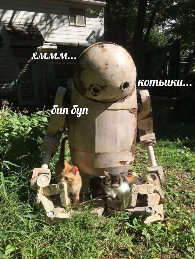 Лучшие шутки и мемы из Сети - 25.06.2025 Лучшие шутки и мемы из Сети - 25.06.2025