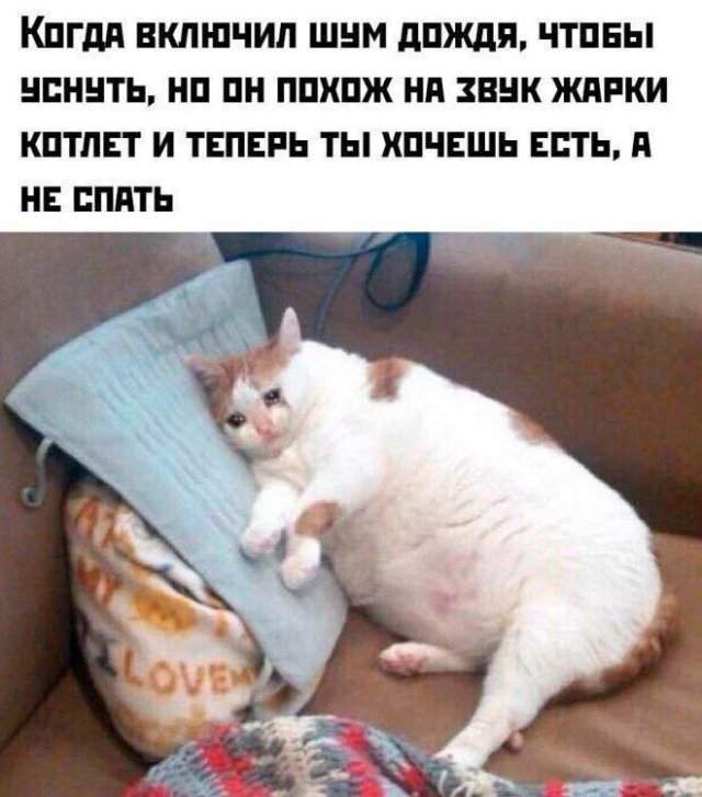Лучшие шутки и мемы из Сети - 25.06.2025 Лучшие шутки и мемы из Сети - 25.06.2025