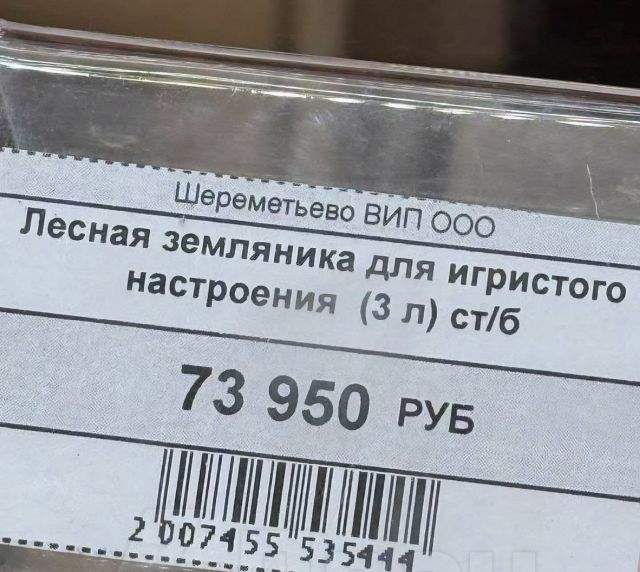 "Золотая" земляника для элиты в Шереметьево "Золотая" земляника для элиты в Шереметьево