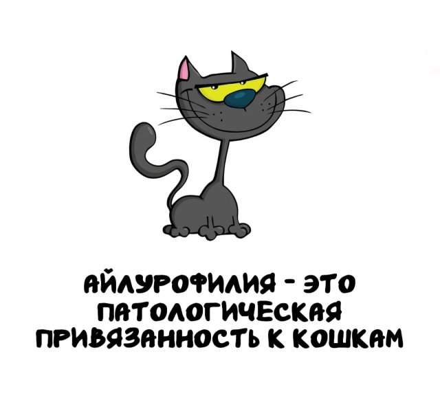 Интересные факты на все случаи жизни Интересные факты на все случаи жизни