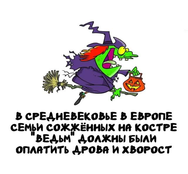 Интересные факты на все случаи жизни Интересные факты на все случаи жизни
