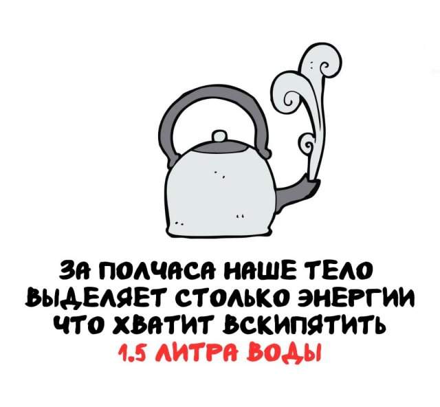 Интересные факты на все случаи жизни Интересные факты на все случаи жизни