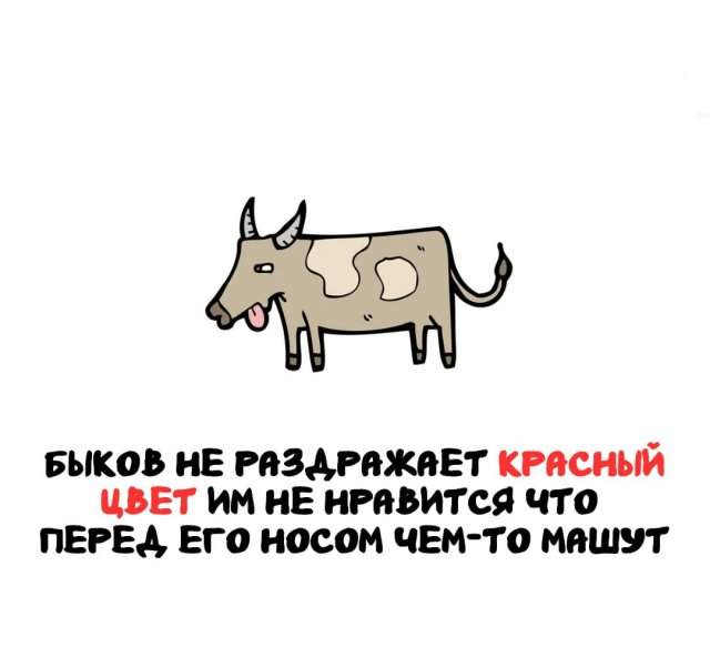 Интересные факты на все случаи жизни Интересные факты на все случаи жизни